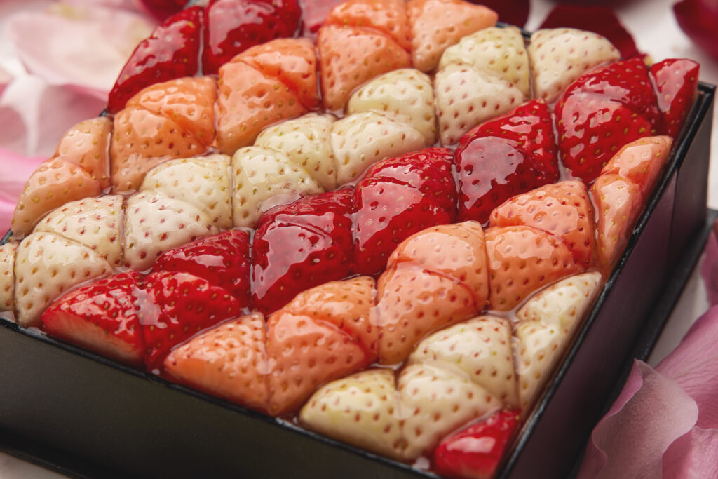 20220130_Fleurs d’été1